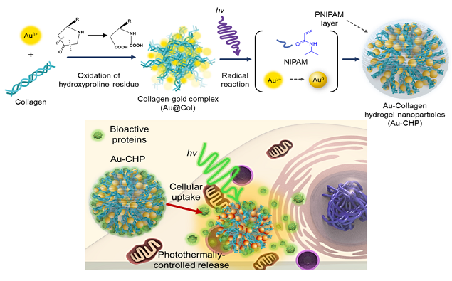 서울시립대 최인희 교수 연구팀, 나노재료분야 세계적 학술지 표지논문 게재 - 뉴스 썸네일 이미지