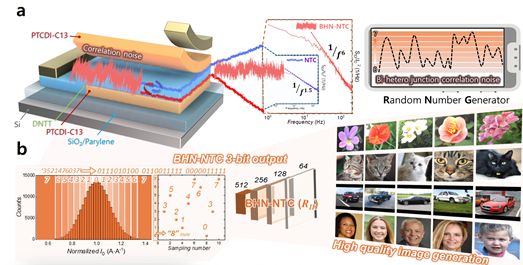 (a) 제안 소자의 소자 구조도 및 계면 노이즈 중첩 현상 응용을 통한 진성 난수 발생기 생성과 관련한 개략도. (b) 3비트 디지털 진성 난수 출력 변환 과정과 이를 활용한 꽃, 고양이, 자동차, 사람의 실제 AI 이미지 생성 기술 구현 결과 이미지