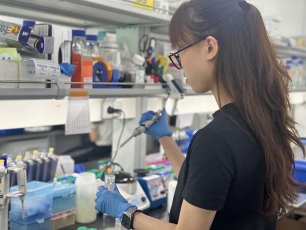 예스유학 국내외 고등학생 대상 '성균관대 STEM 리서치 인턴십' 설명회... - 뉴스 썸네일 이미지