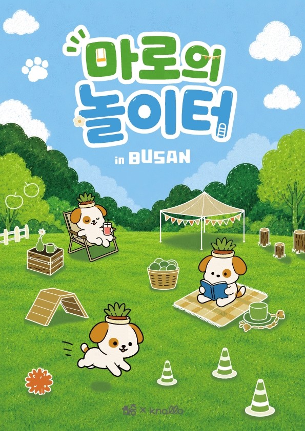 비욘디, 반려동물 놀이·교육 결합한 '마로의 놀이터 in 부산' 선보여 - 뉴스 썸네일 이미지